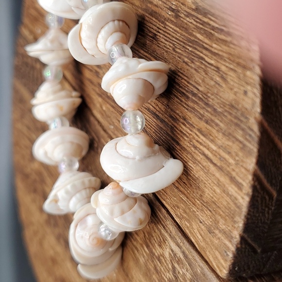 B1912 natural shell - Picture 2 of 2